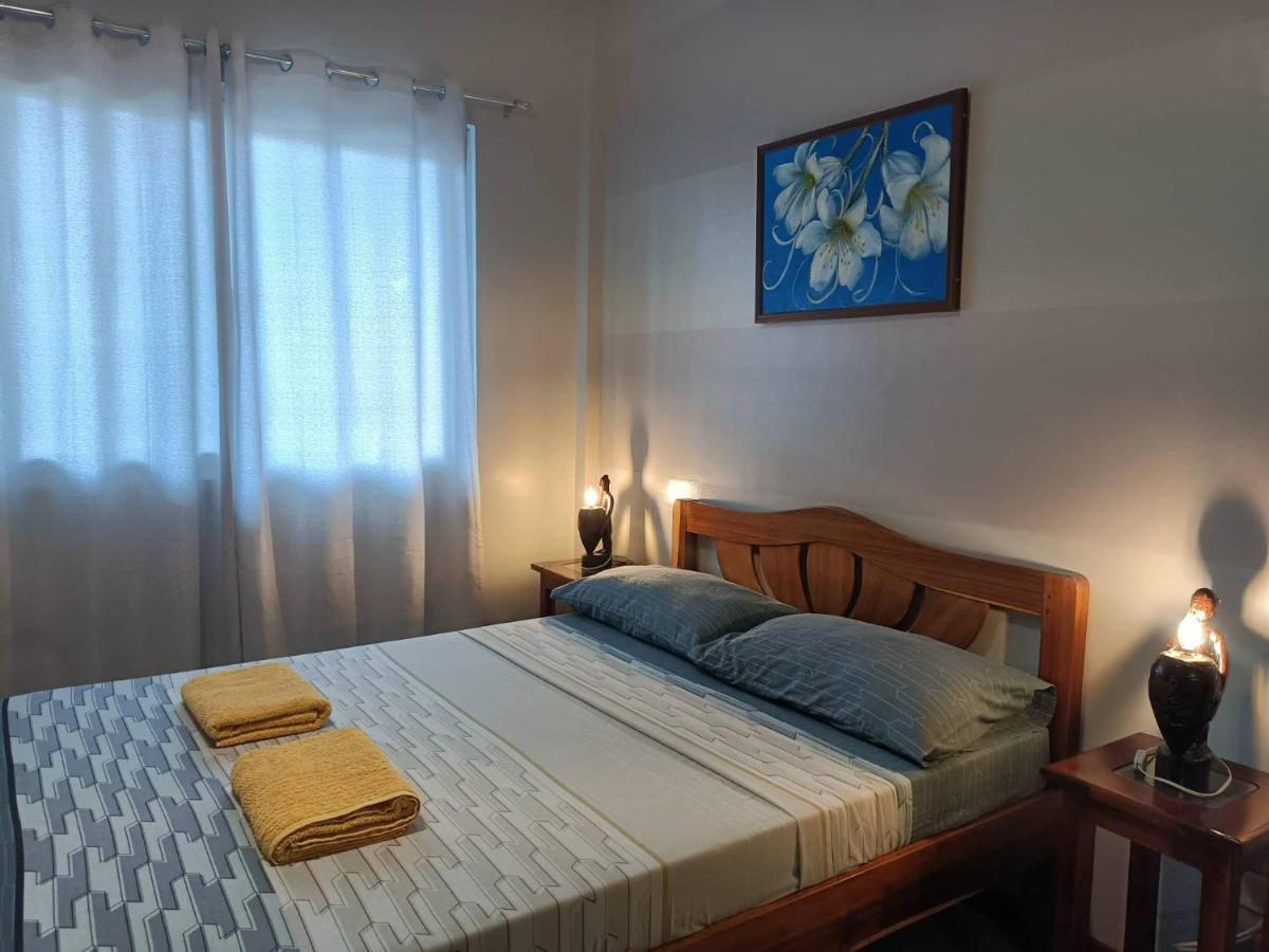 Villa Skanderbeg Guest House Puerto Princesa Buitenkant foto
